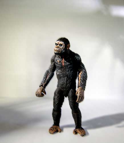 Caesar reflects on the role of educated apes in modern society