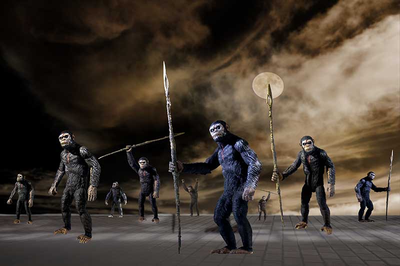 A large group of apes