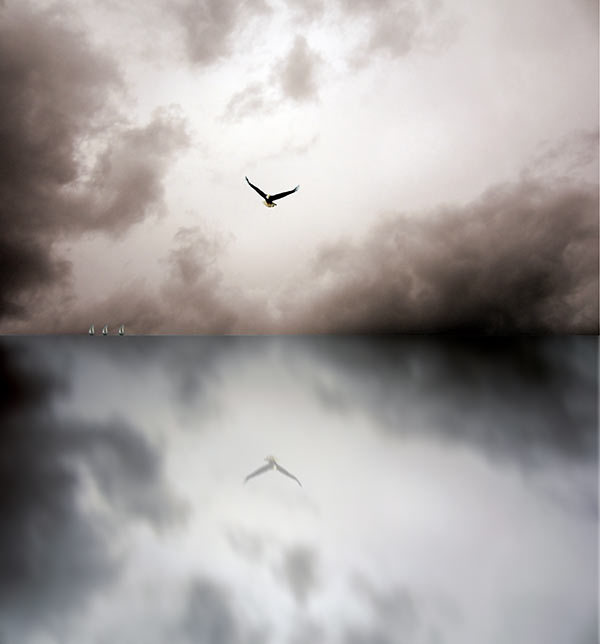 Eternal ocean of hope, with bird