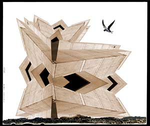 Humanity's last library