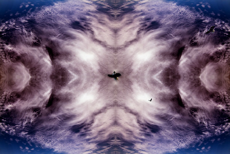 Xenomorphs attack Armory bldg in SF