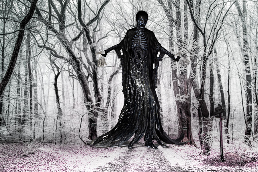 The Dementor figure from Harry Potter