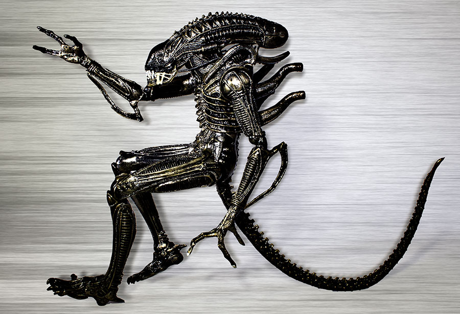 Xenomorph