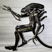 Xenomorph, side view