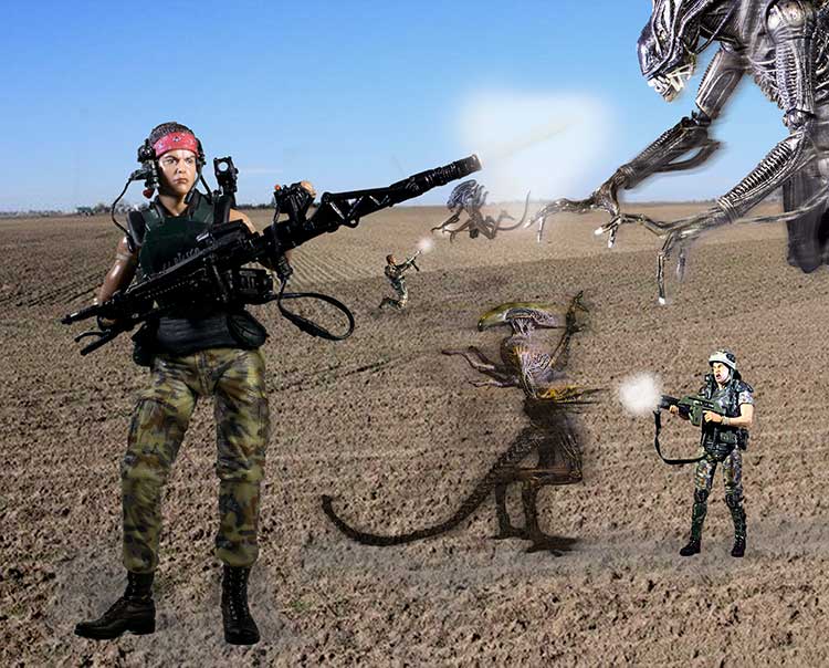 Vasquez in the field