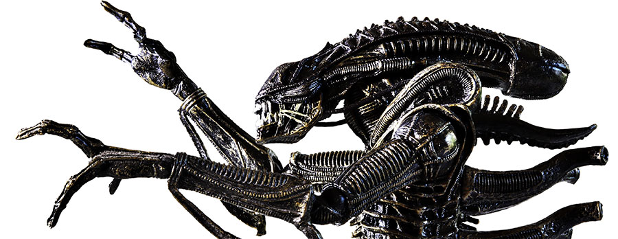 Xenomorph in profile