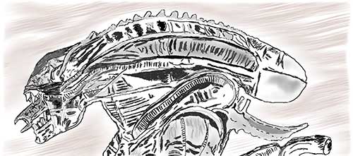 Drawing of Xenomorph