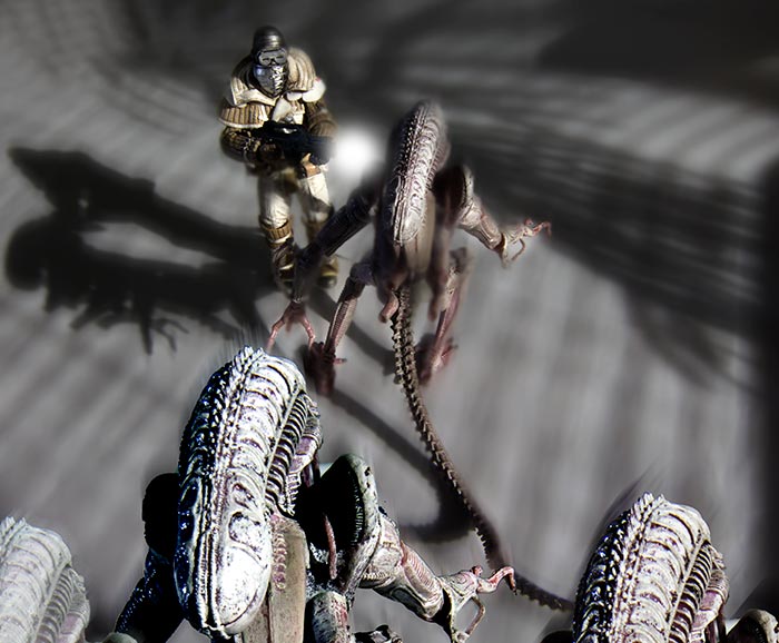 Weyland-Yutani Commando under attack by Albino Xenomorphs