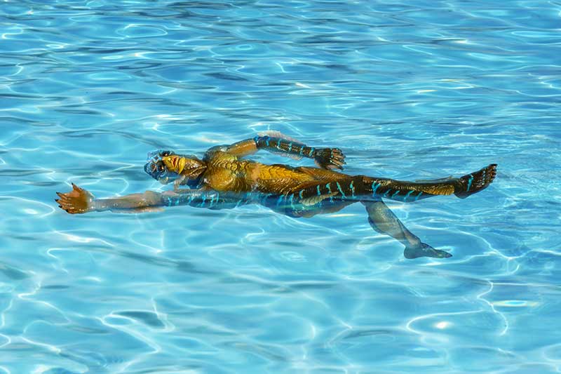 Amphibian man does back-stroke