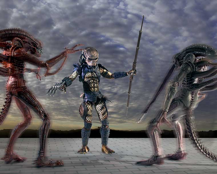 Predator vs Xenomorphs