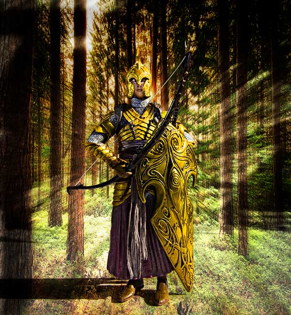 Elven Warrior